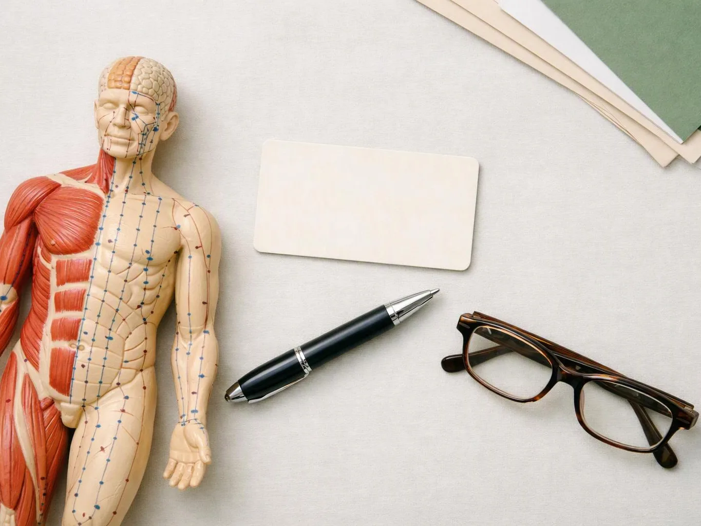 A human anatomy model lies beside a pen, eyeglasses, and blank cards on a light tabletop